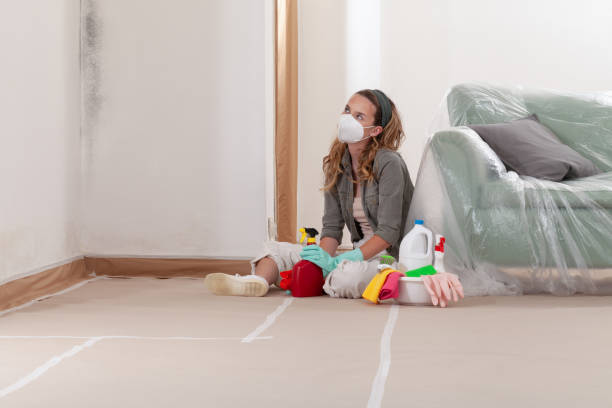 Reliable Black Mold Removal contractor in North Beach, MD by WQB Mold Removal